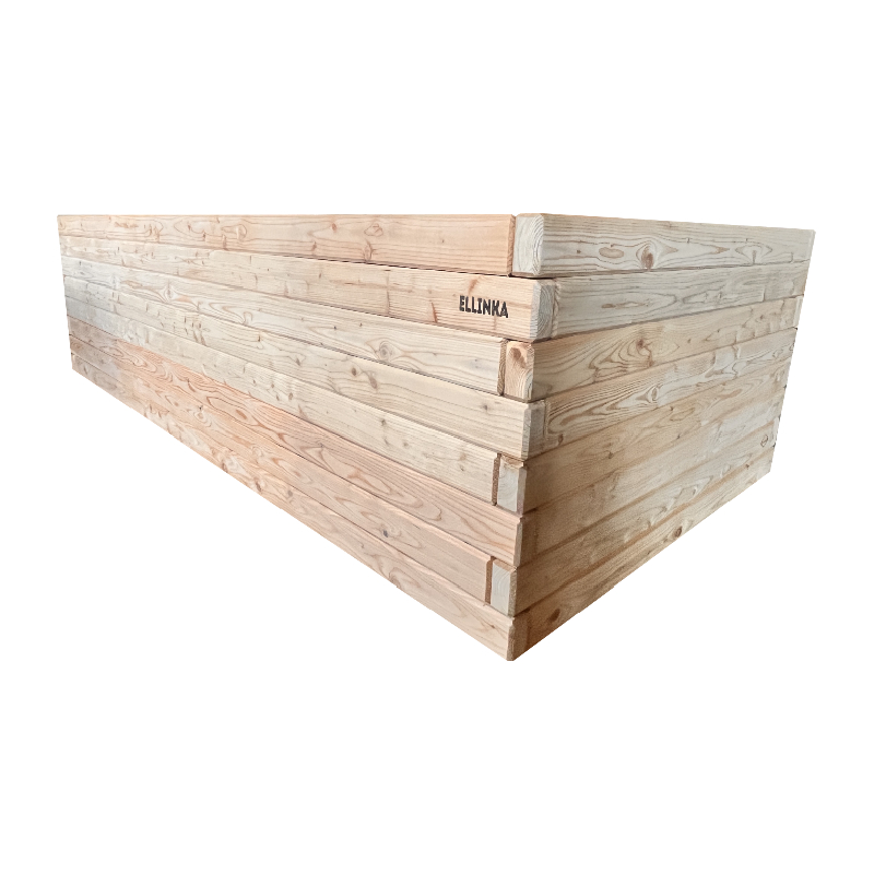 Modřín evropský MASIV výška 63 cm